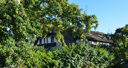 Ferienhaus "strandflieder" in Groß Zicker/halbinsel Mönchgut