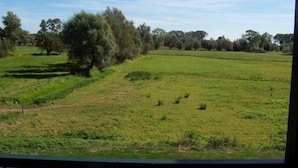 Blick auf ein grünes Feld mit Bäumen und blauem Himmel.