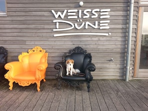 Apartment (Ferienwohnung 31) | AuĂenbereich