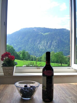 Apartment ( Almsternchen 3) | 1 bedroom - Almsternchen 3 (Oberstdorf)