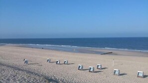Apartment | Beach | On the beach