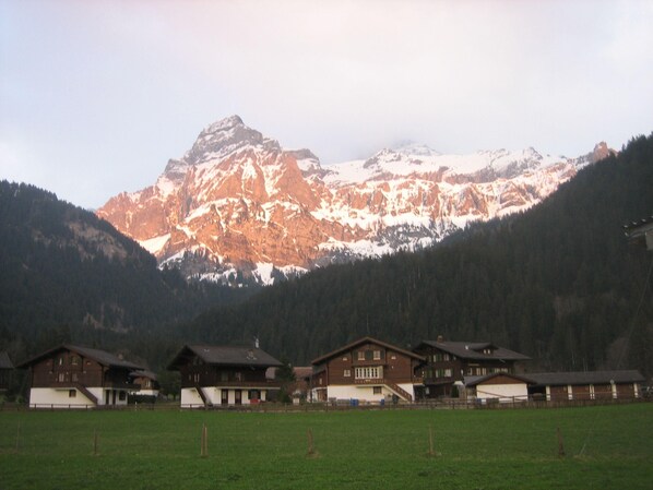 Apartment | Exterior - Ferienwohnung Lenk (Lenk)