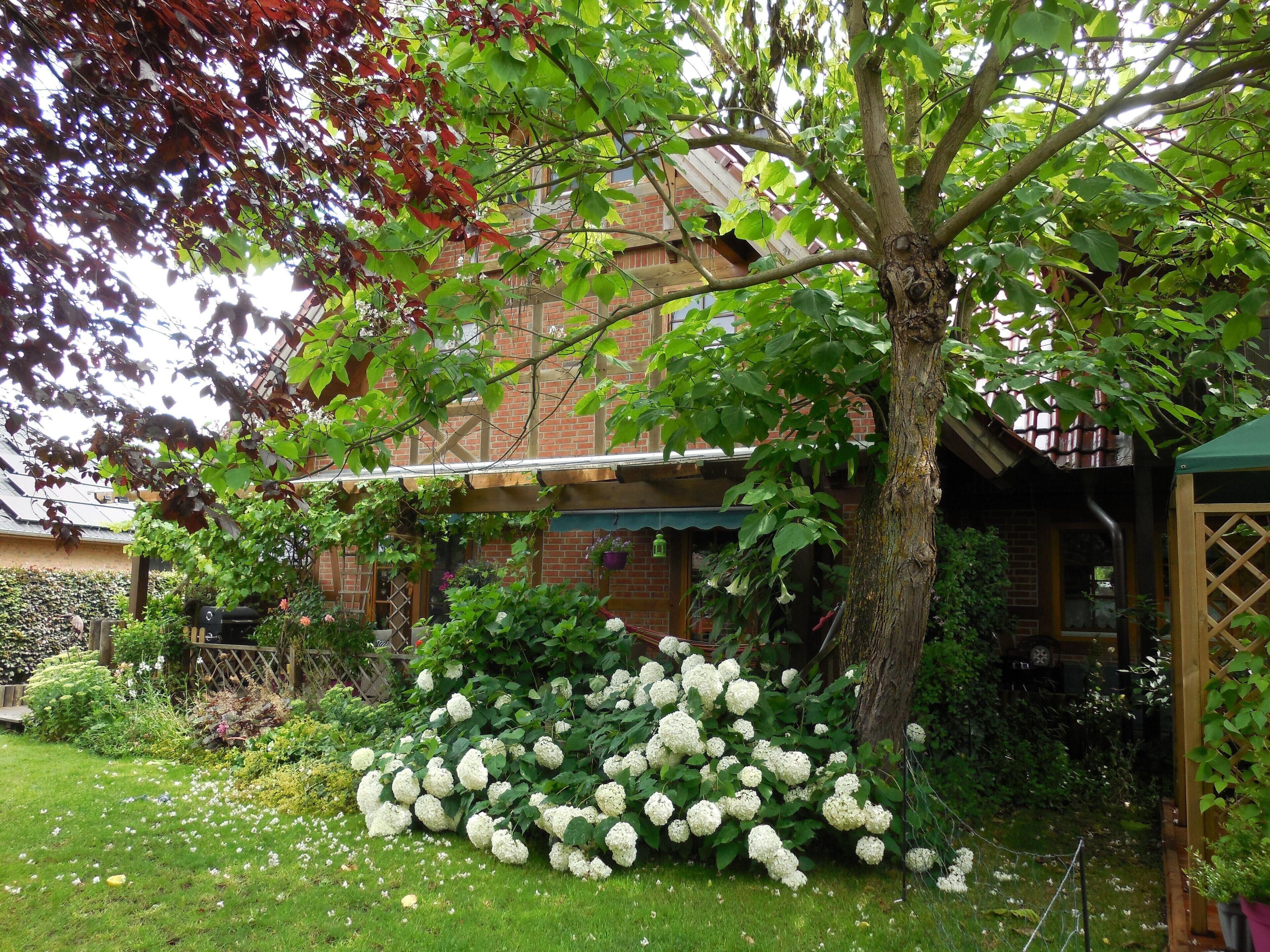 Apartment (Ferienwohnung Kribitz Hodenhagen) | Unterkunftsgelände