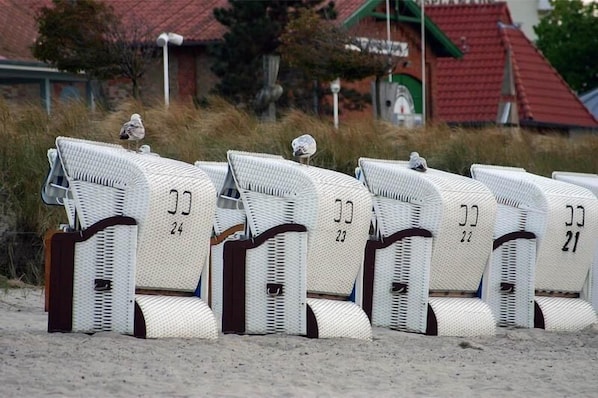 Apartment | Unterkunftsgelände