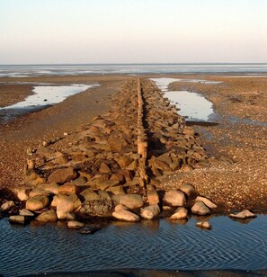 Apartment (Wohnung Schwalbennest) | Strand