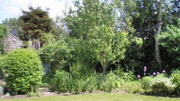 Apartamento | Jardines del alojamiento