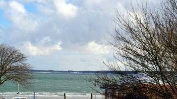 Ferienhaus (Ferienhaus "Am Strand") | Strand
