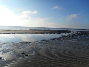 Apartment (Haus Seeschwalbe) | Strand