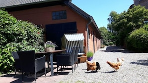 A rustic barn with a gravel patio, outdoor seating, and chickens. - Ferienwohnung "rosenrot" auf dem Ferien + Bauernhof Nilson in Inselmitte (Fehmarn)