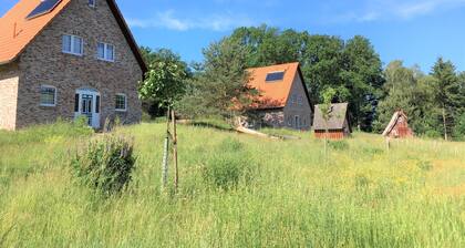 Bispinger Heidezauber