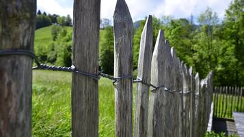 Apartment (Zeitraum Hohe Stein) | Unterkunftsgelände