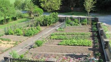 Apartment (Landurlaub-Ferienwohnung) | Property grounds