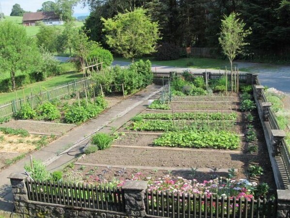 Apartemen (Landurlaub-Ferienwohnung) | Halaman properti