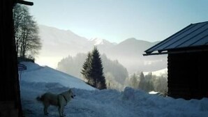 A snowy landscape with a wooden cabin and a dog. - Falkenberg Wohnung 211 (Oberstdorf)