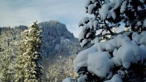 A snow-covered landscape with a mountain in the background. - Falkenberg Wohnung 211 (Oberstdorf)