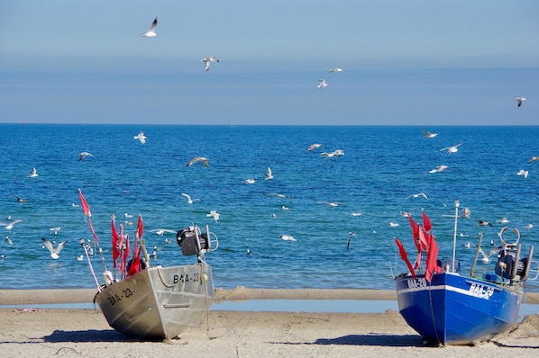Apartment (Urlaubsbahnhof - "Güterboden") | Strand