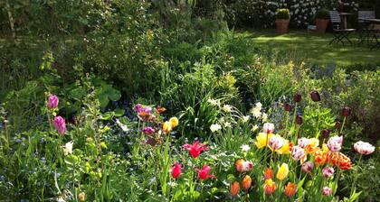 Ferienwohnung "alte Schule"