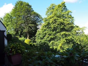 Apartment (Apartment Harzgrün) | Unterkunftsgelände