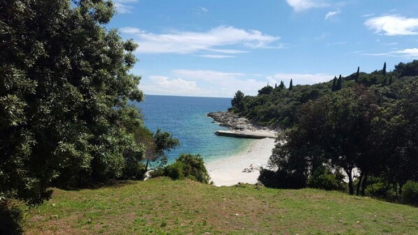 Apartamento (Apartment-Studio Ginkgo A1) | Praia