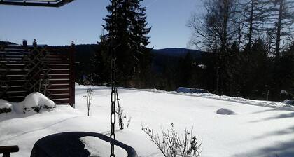 Sonnige Waldruhe am Skiberg