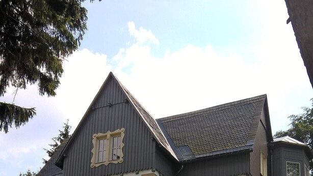 Unclassified image, 1 of 1, button - Villa Unger (Altenberg)