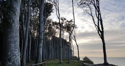 Baltic Sky