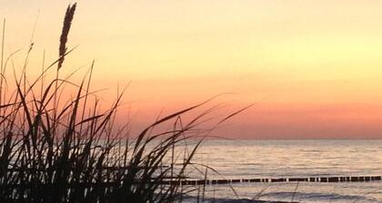 Baltic Sky