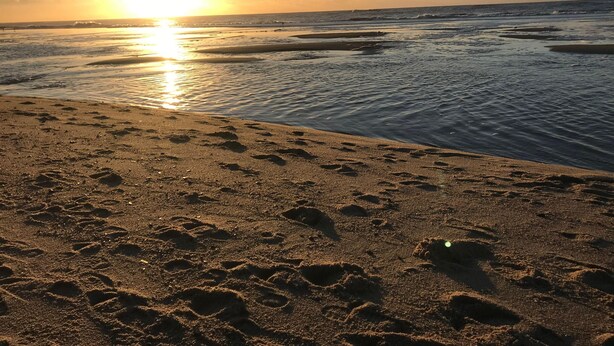 Departamento | Playa