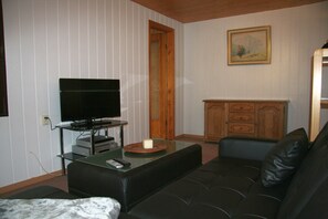 House (Ferienhaus Maxen) | Living room | TV