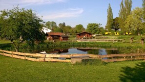 Apartment (Ferienwohnung Abendsonne) | AuĂenbereich