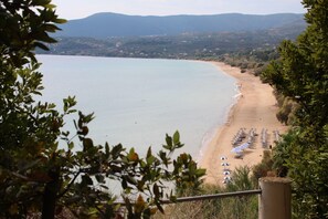 Une plage bordée de rangées de parasols, offrant une vue dégagée sur la mer.