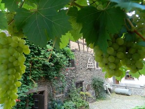 Ferienhaus | Unterkunftsgelände