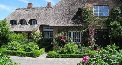 Reethus WE 3 Blaumuschel