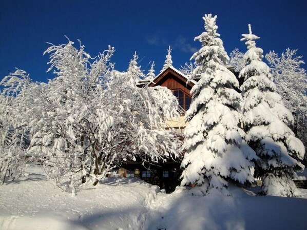 Apartment (Ferienhaus Bergtraum – Ferienwohnun) | Außenbereich