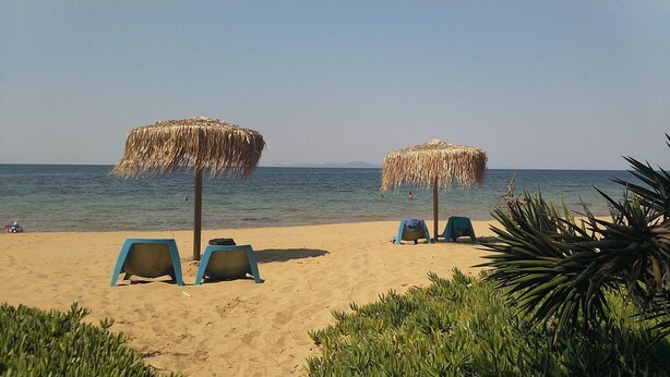 A beach with two thatched umbrellas, blue lounge chairs, and a palm tree.