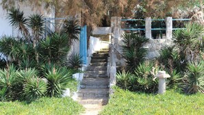 A stone staircase leading up to a building with a blue door, surrounded by lush greenery and palm trees.