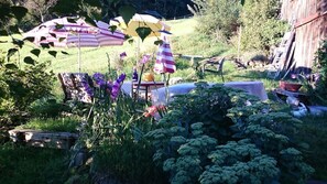 Property grounds - Elefantenhaus Homberg (Neckertal)