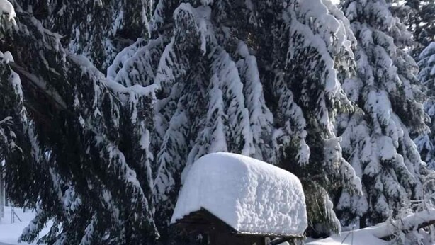 A snow-covered wooden cabin with a snow-covered roof, surrounded by snow-laden trees. - Ferienwohnung Däumler (Breitenbrunn/Erzgeb.)