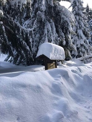 A snow-covered wooden cabin with a snow-covered roof, surrounded by snow-laden trees. - Ferienwohnung Däumler (Breitenbrunn/Erzgeb.)
