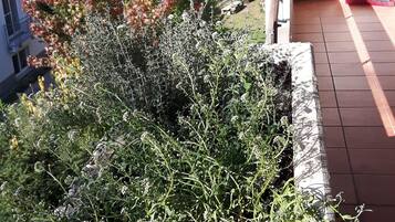 Apartment (Appartement 124) | Property grounds