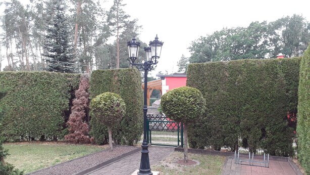 Uklassifisert bilde, 1 av 16, knapp