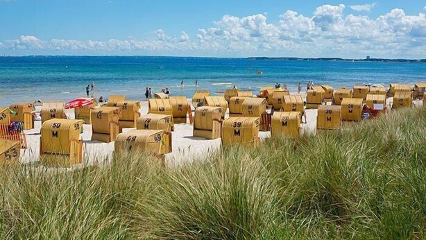 A beach with rows of numbered wooden beach chairs and umbrellas. - Seetempel 34 Scharbeutz (Scharbeutz)