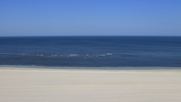 Apartment | Beach - Kiekin-kiekut Wenningstedt/sylt (Wenningstedt-Braderup)