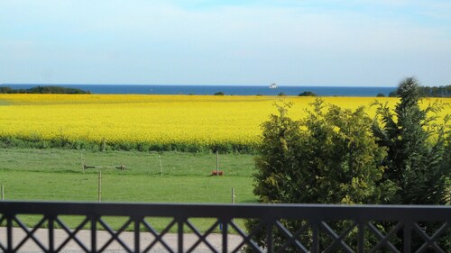 Der Schwedenhof - Ferienwohnung "sommar" - Meerblick - Fehmarn