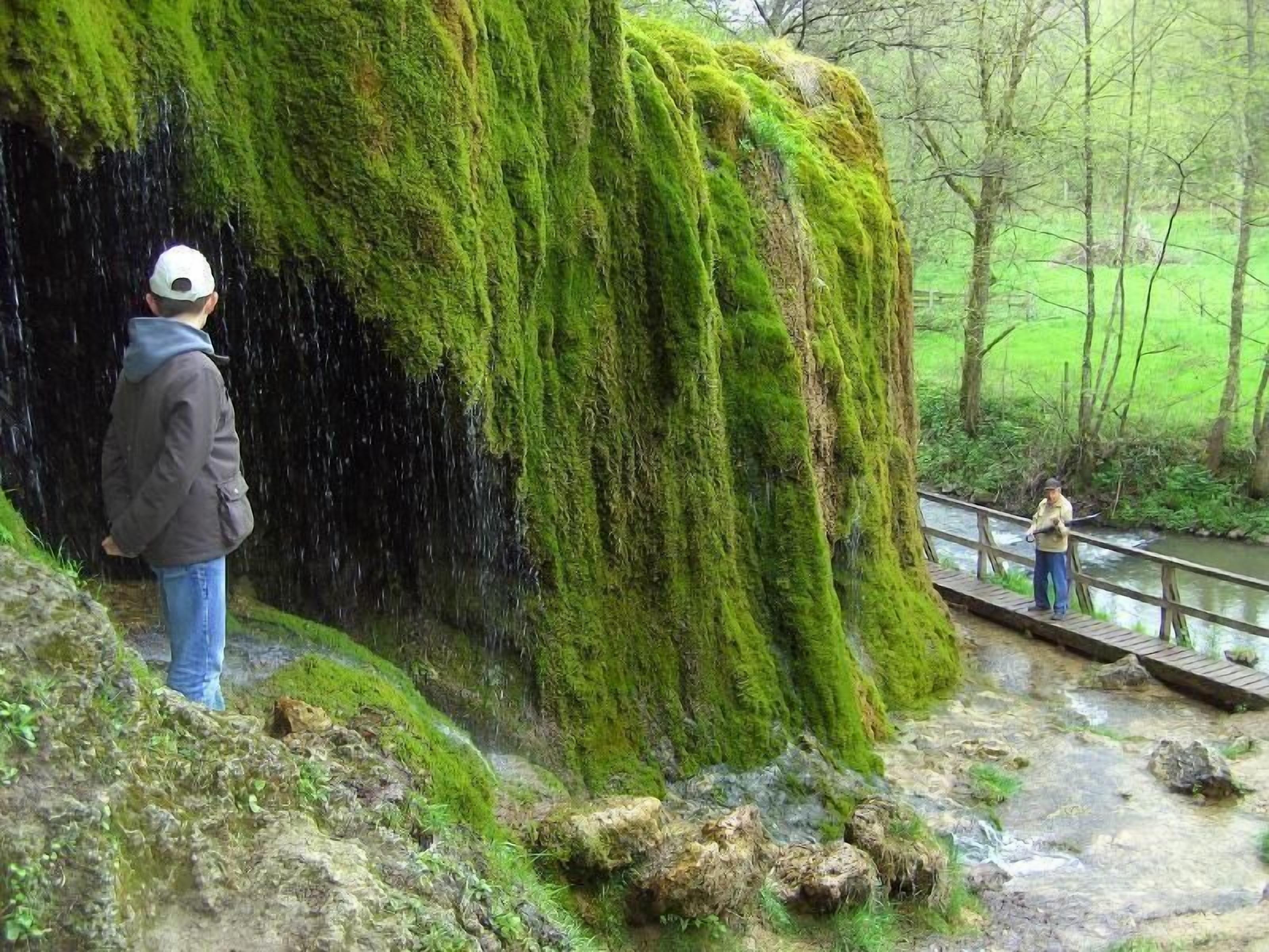 Apartment | Property grounds