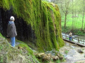 Apartment | Property grounds