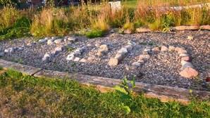Un jardin avec un sentier en bois, des rochers et différentes espèces de plantes.