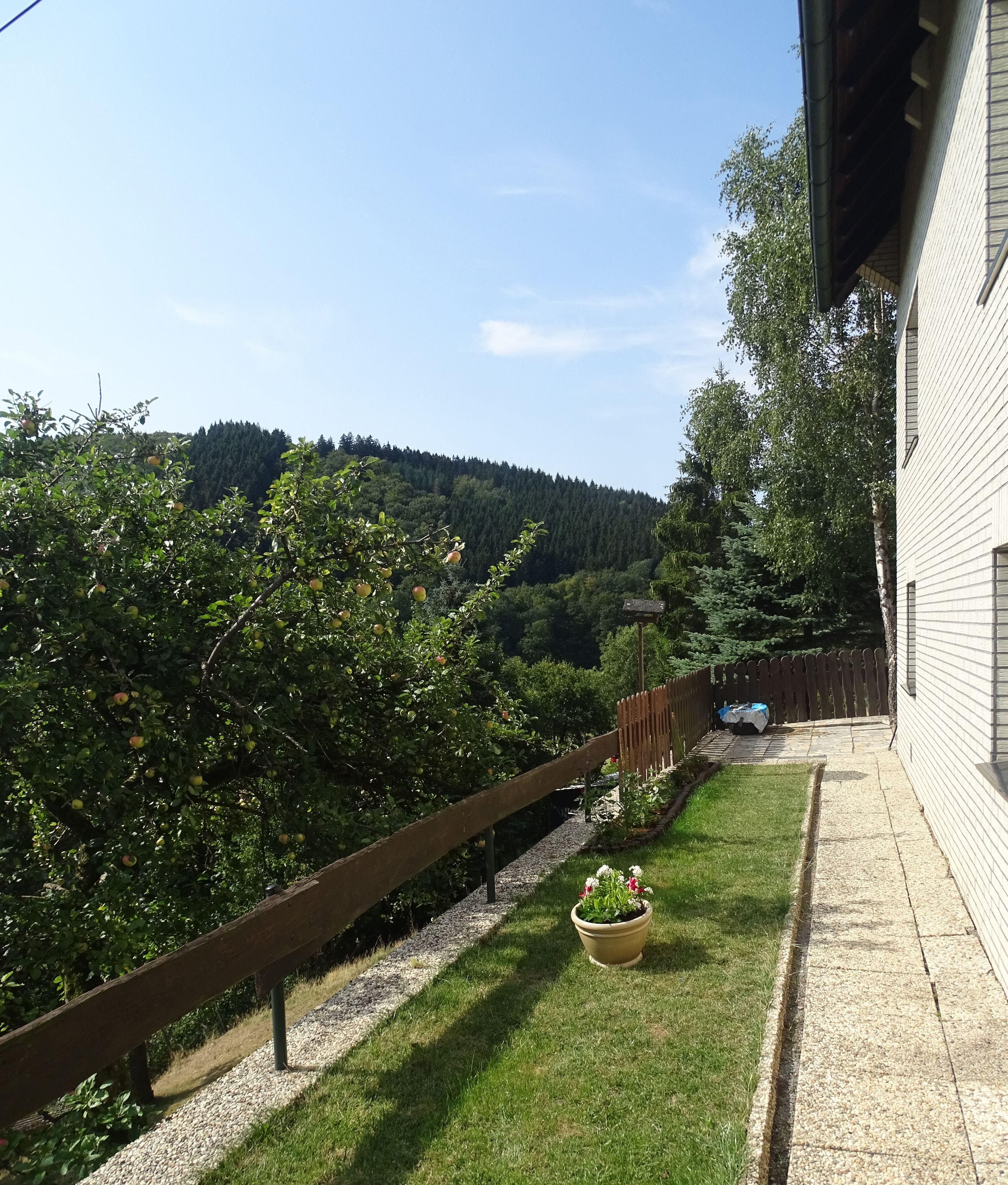 House | Property grounds