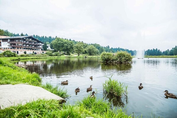 Lake