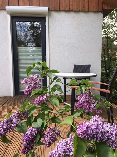 Ferienwohnung Martin - Studio mit Terrasse